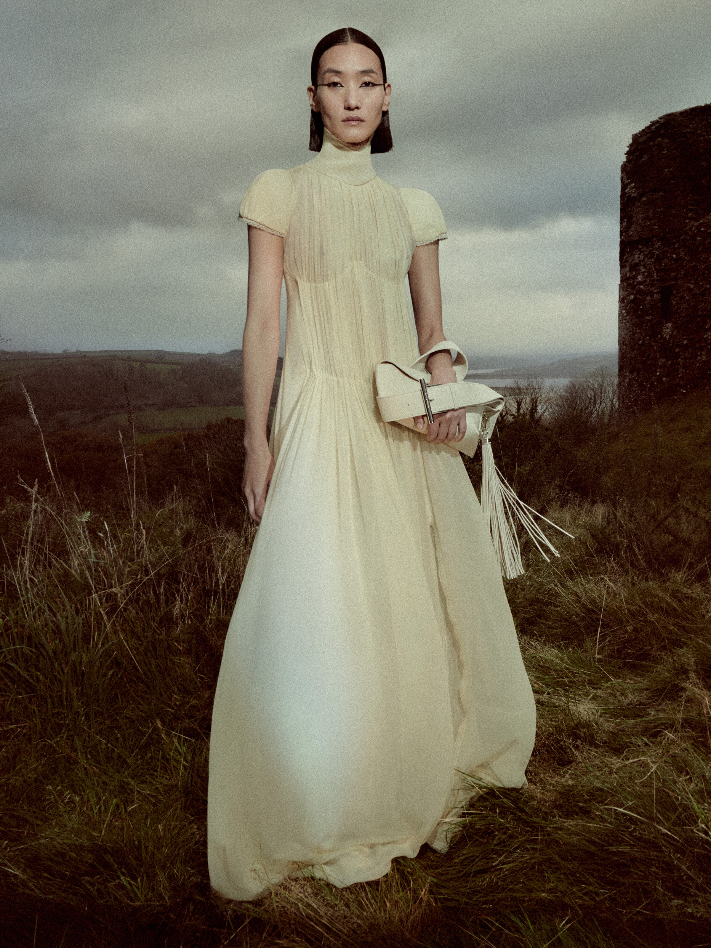 Chiffon Pleated Dress
