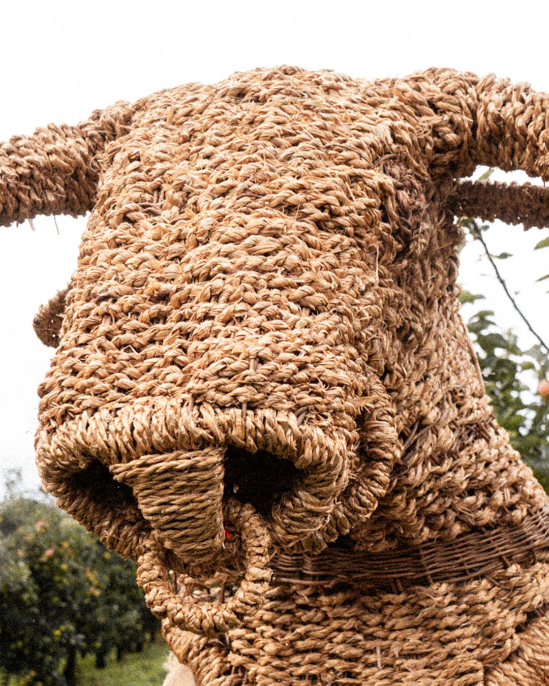 Armagh Rhymers Woven Mask Portrait