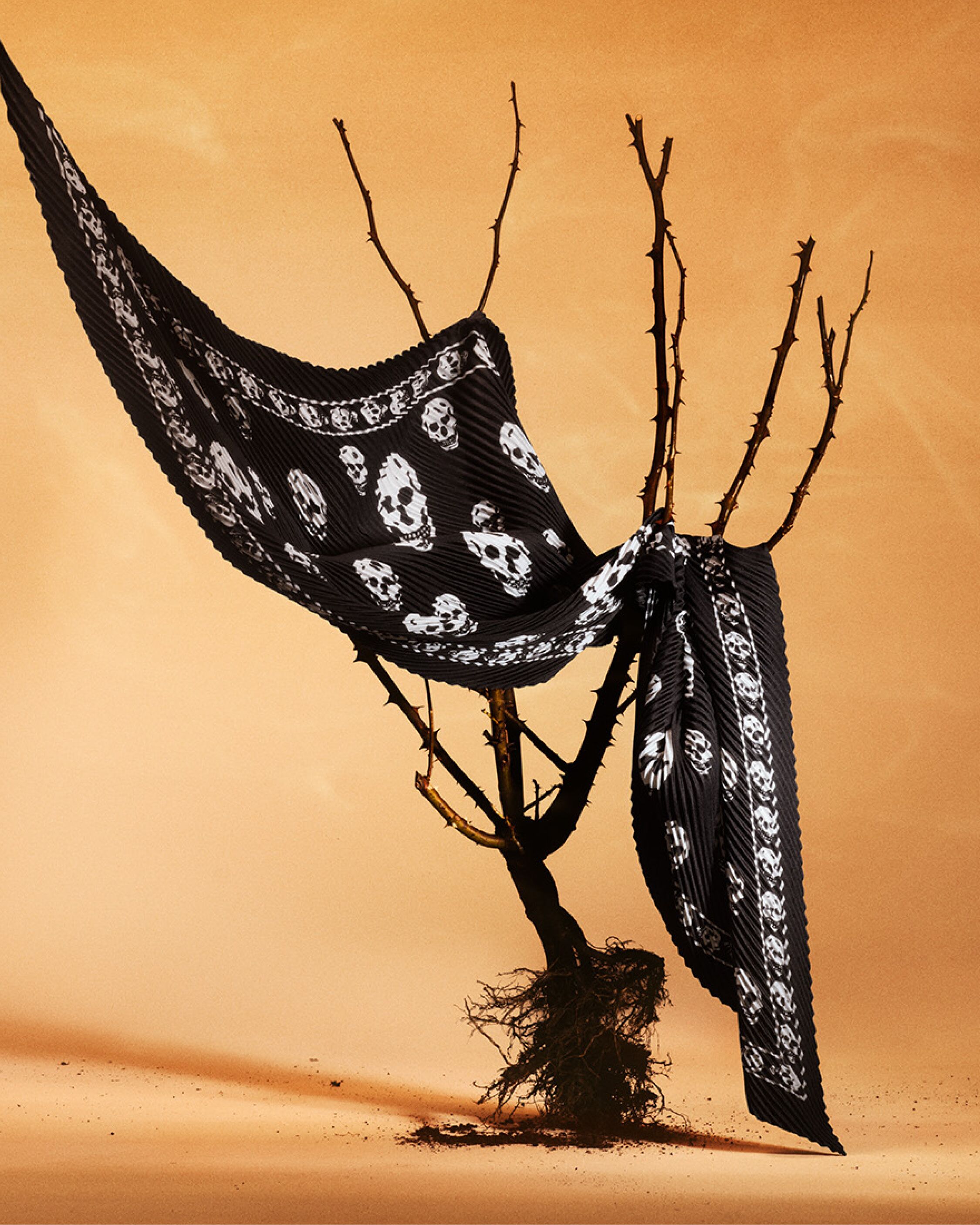 Men's Iconic McQueen Skull Scarf