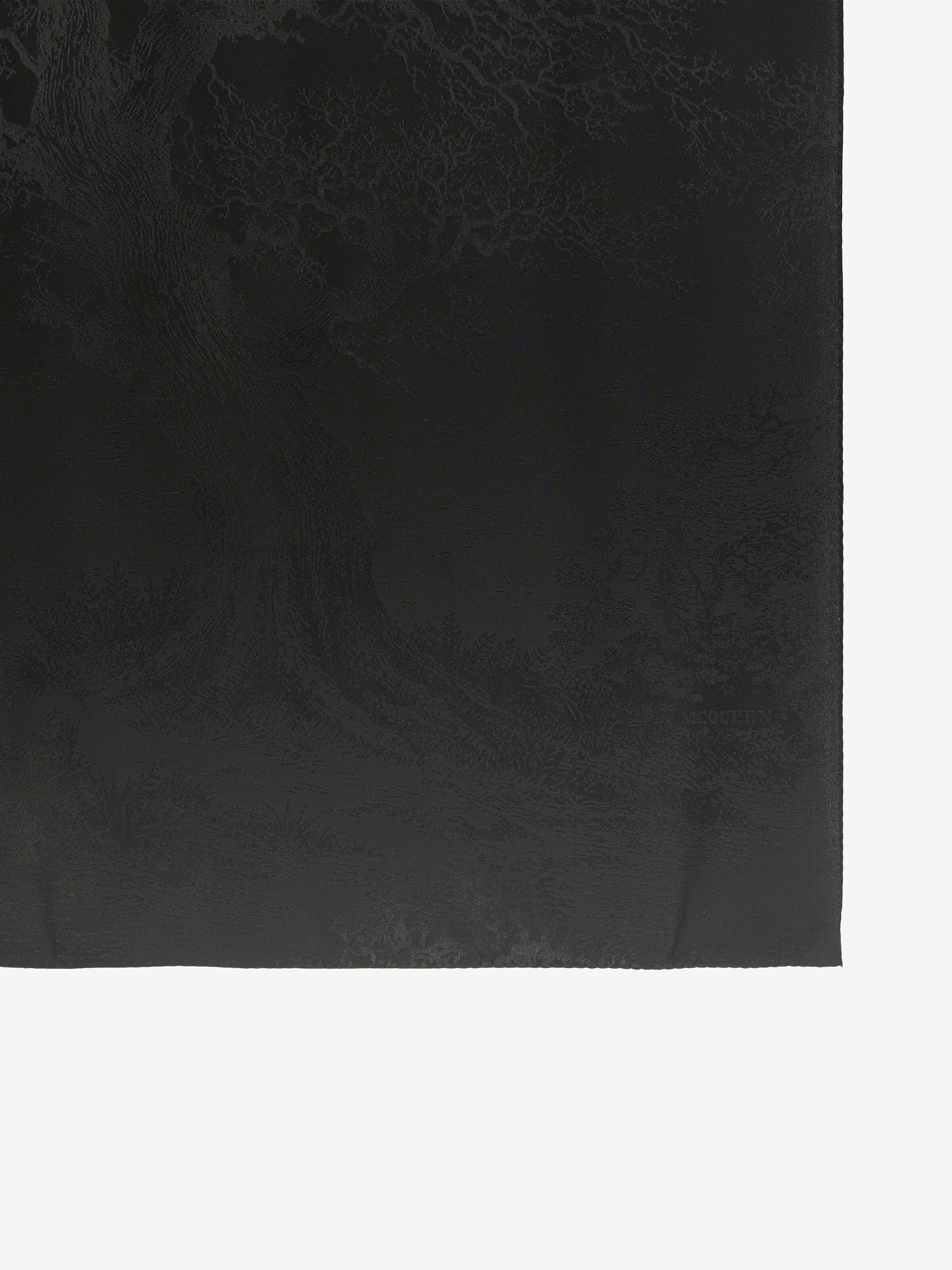 Women's Tree Of Life' Jacquard Evening Stole in Black in 100% Silk | Alexander McQueen - image 3