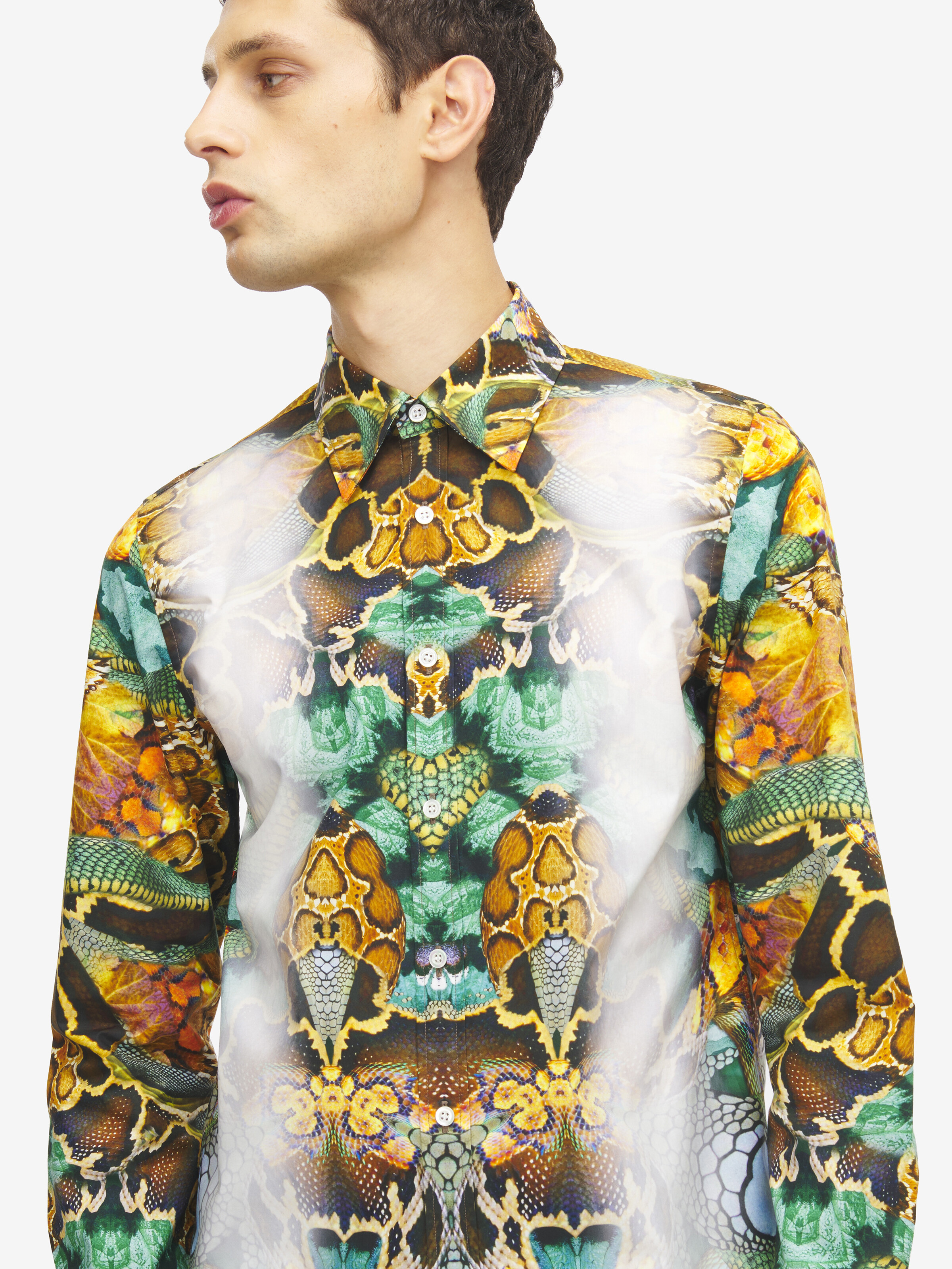 Men's Archival Print Shirt in Multicolor in 100% Cotton | Alexander McQueen - image 5