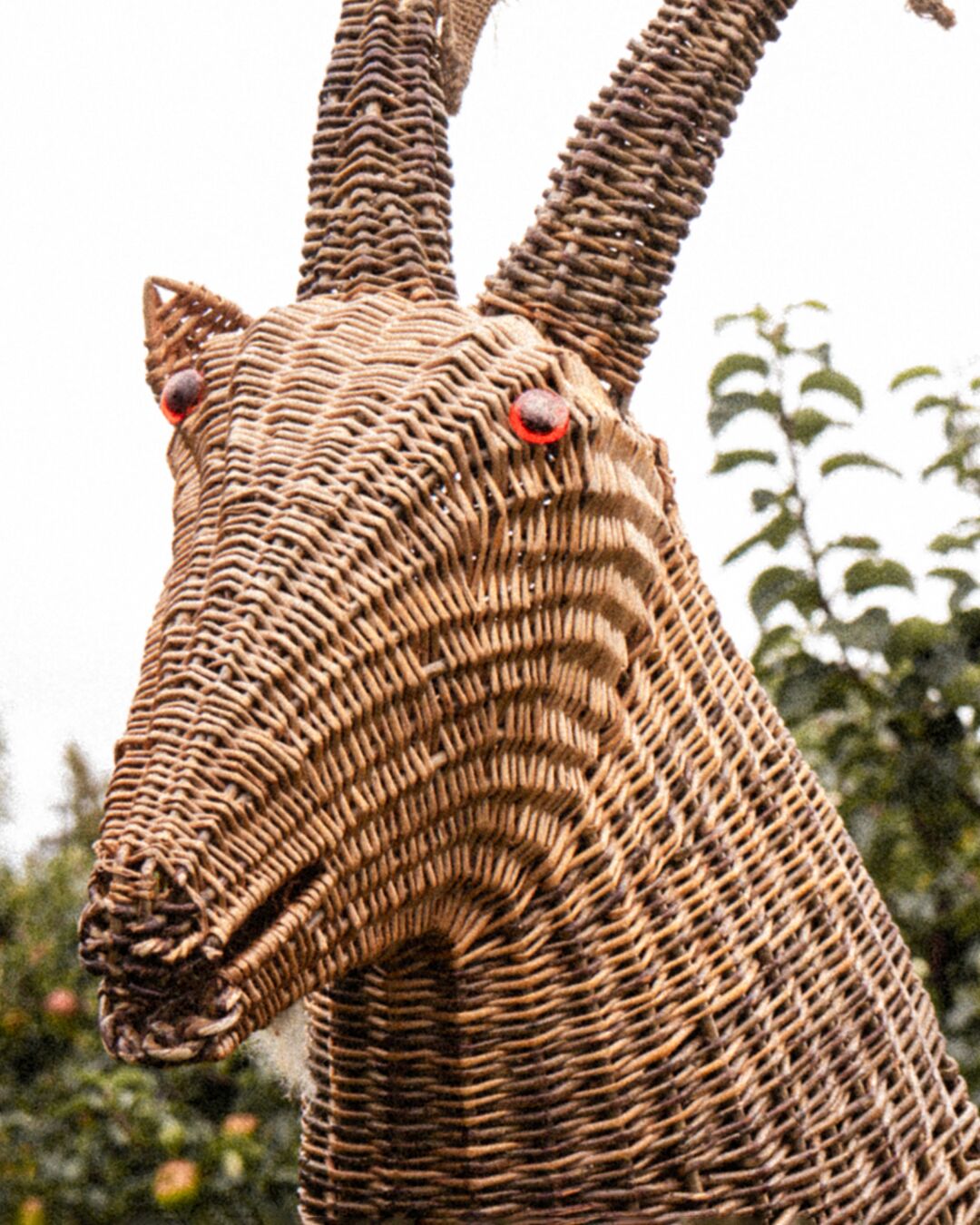 Armagh Rhymers Woven Goat Mask Portrait