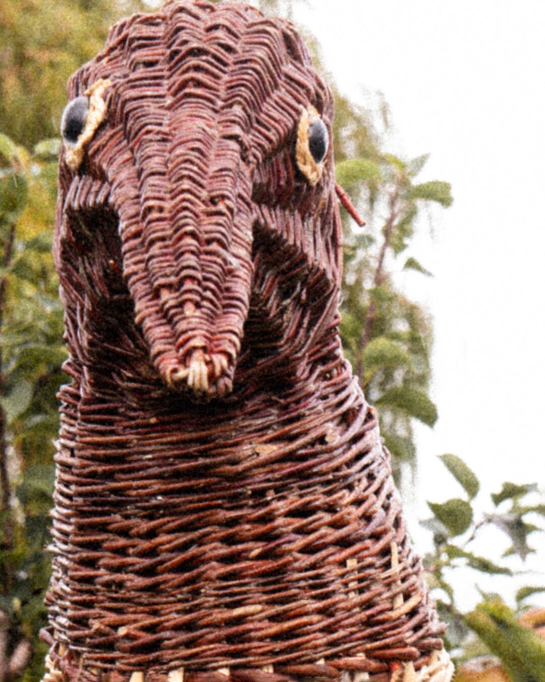 Armagh Rhymers Woven Bird Mask Portrait