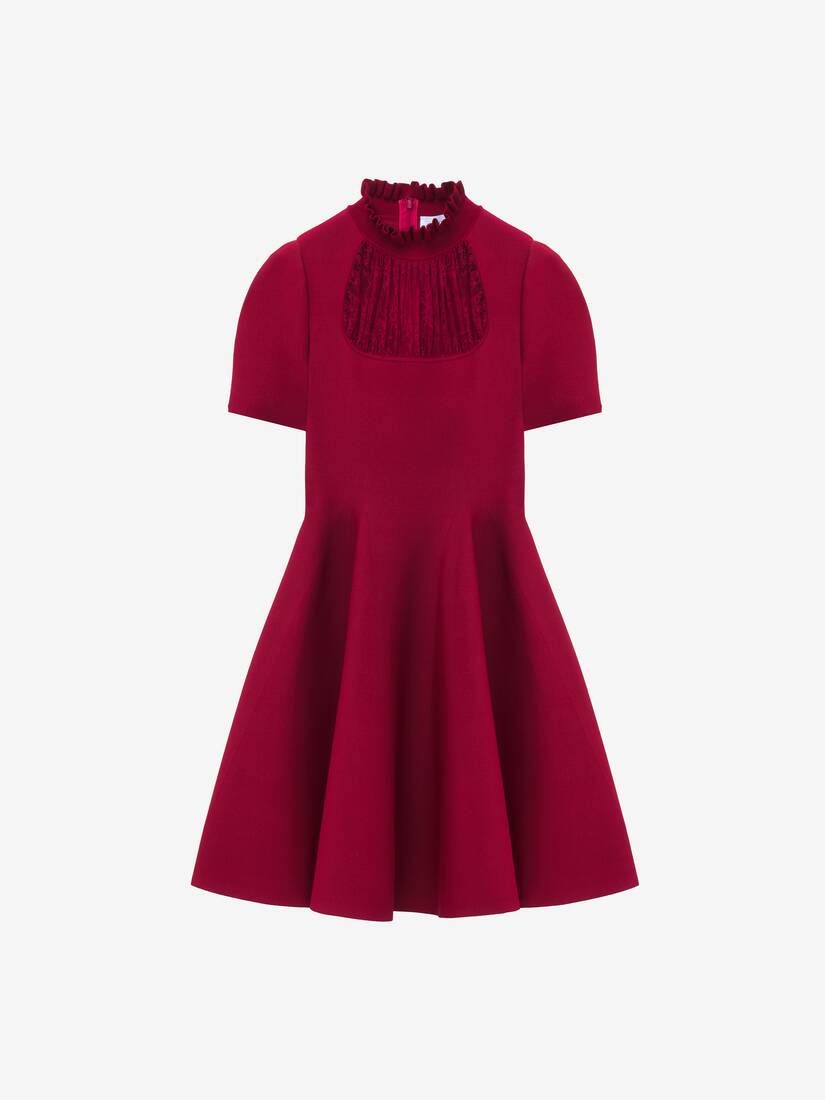 Lace Panel Mini Dress | Alexander McQueen - image 1