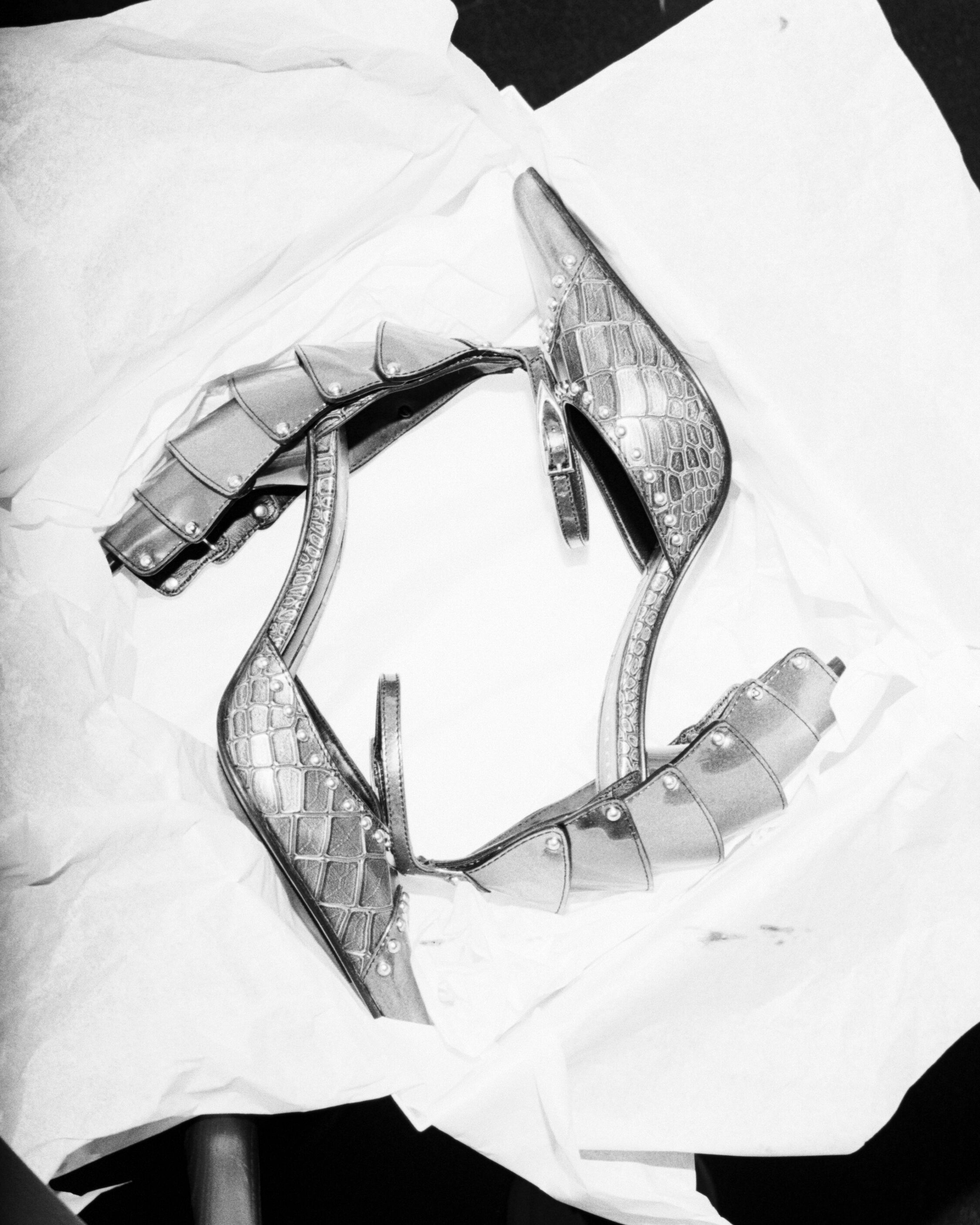 Spring Summer 2027 Armadillo Shoe
