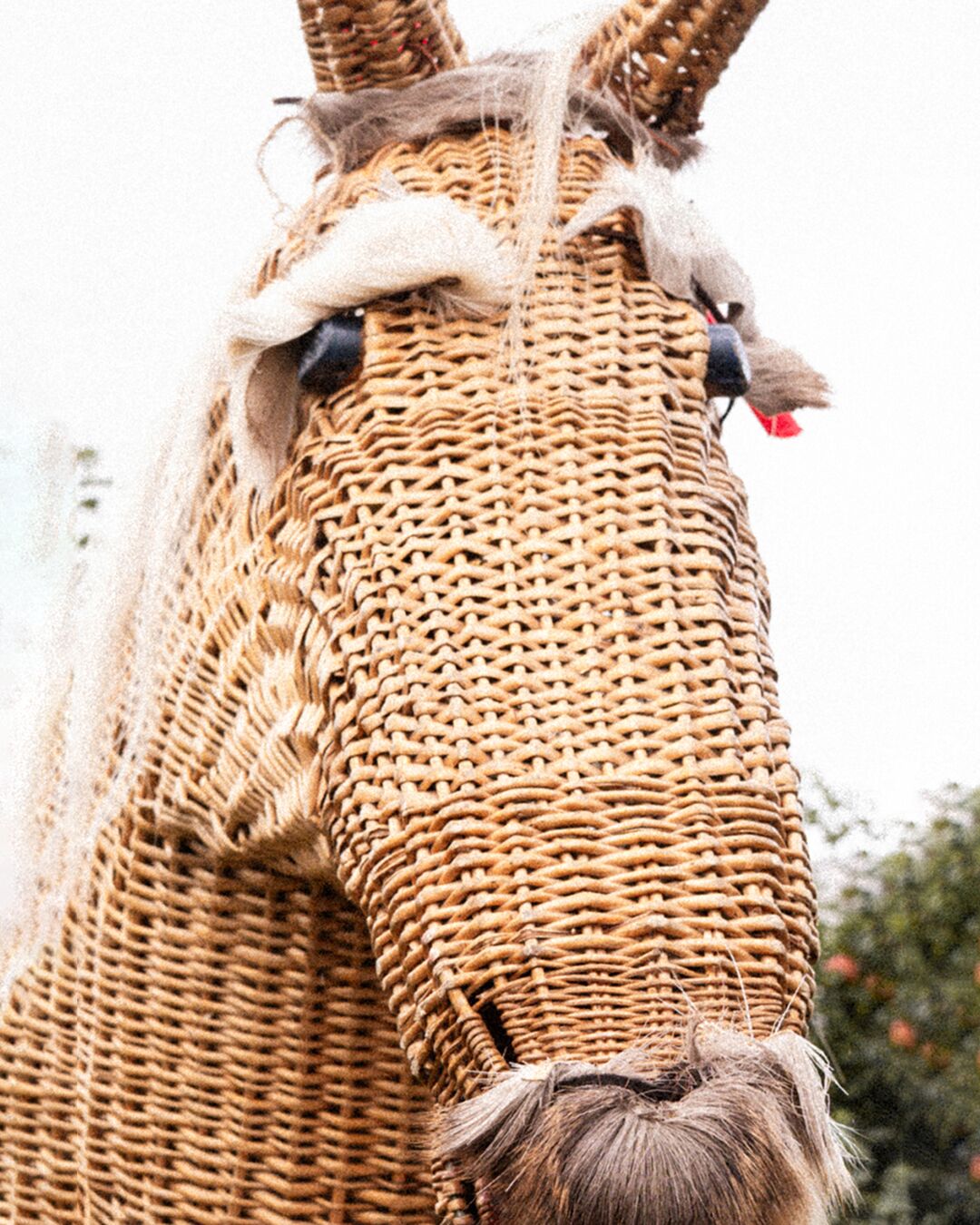Armagh Rhymers Woven Mask Portrait