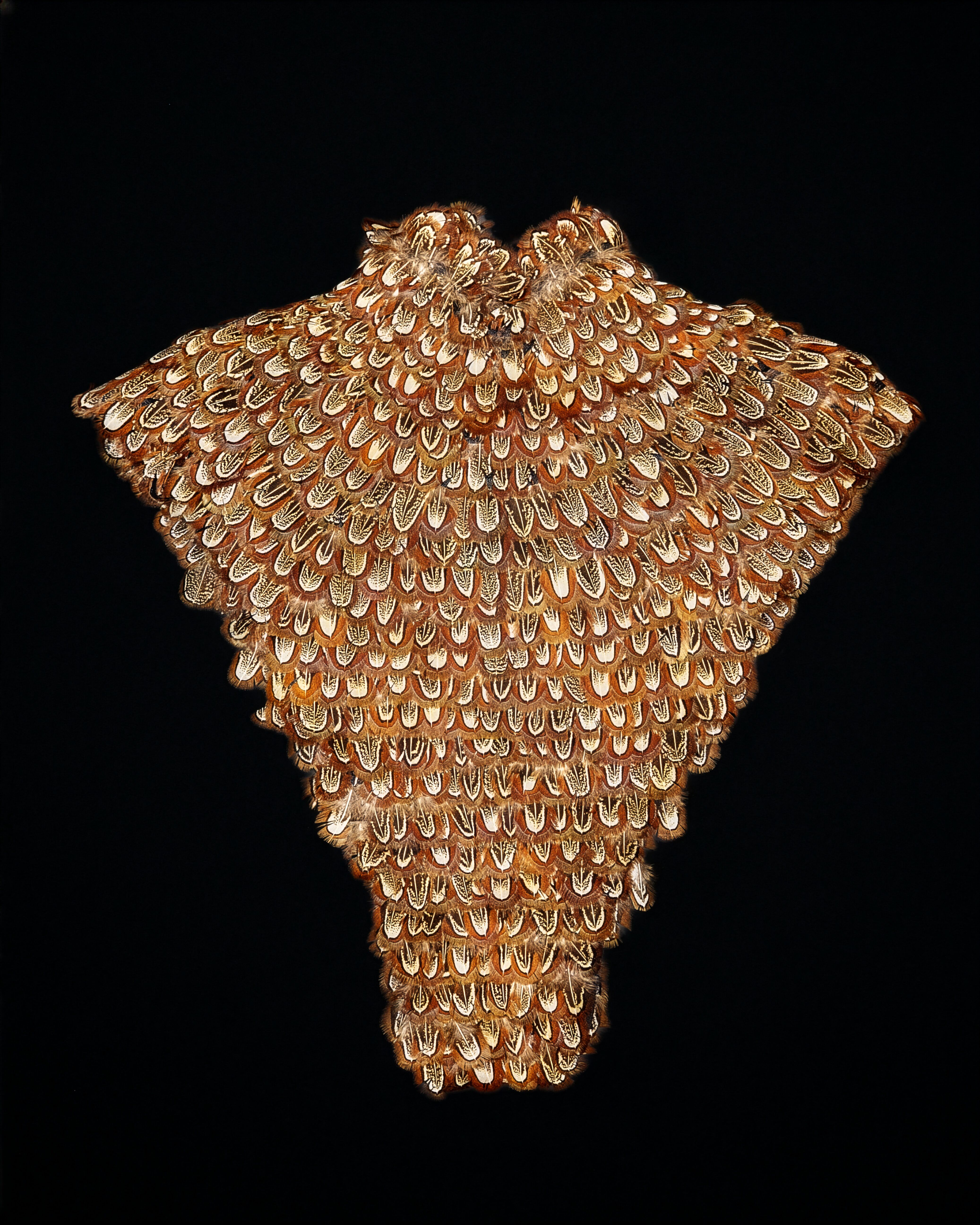 overhead view of feather bib 