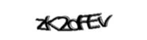 Security check image, please type the characters shown