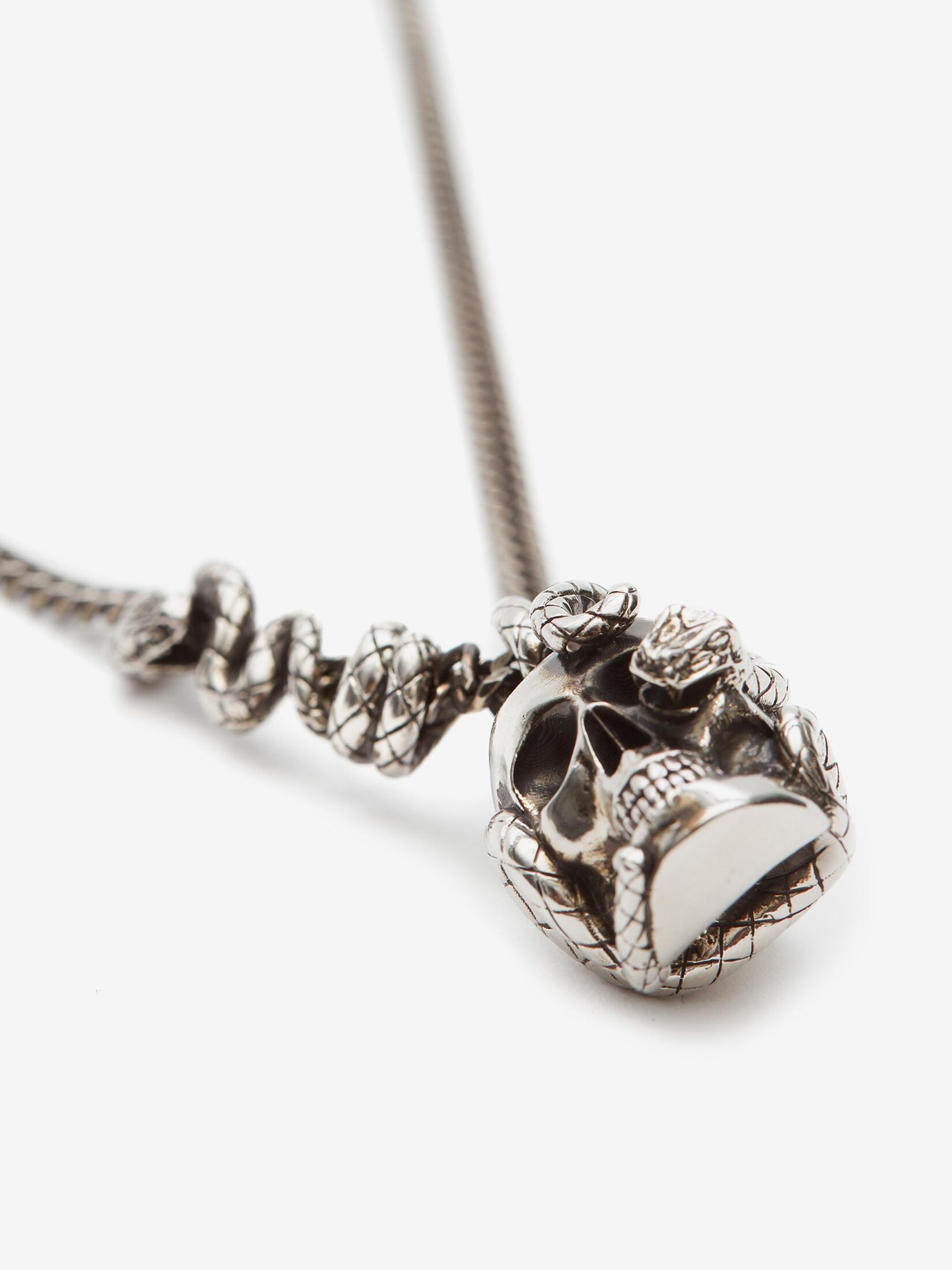 Skull and Snake Necklace