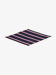 College Stripe Losange Scarf