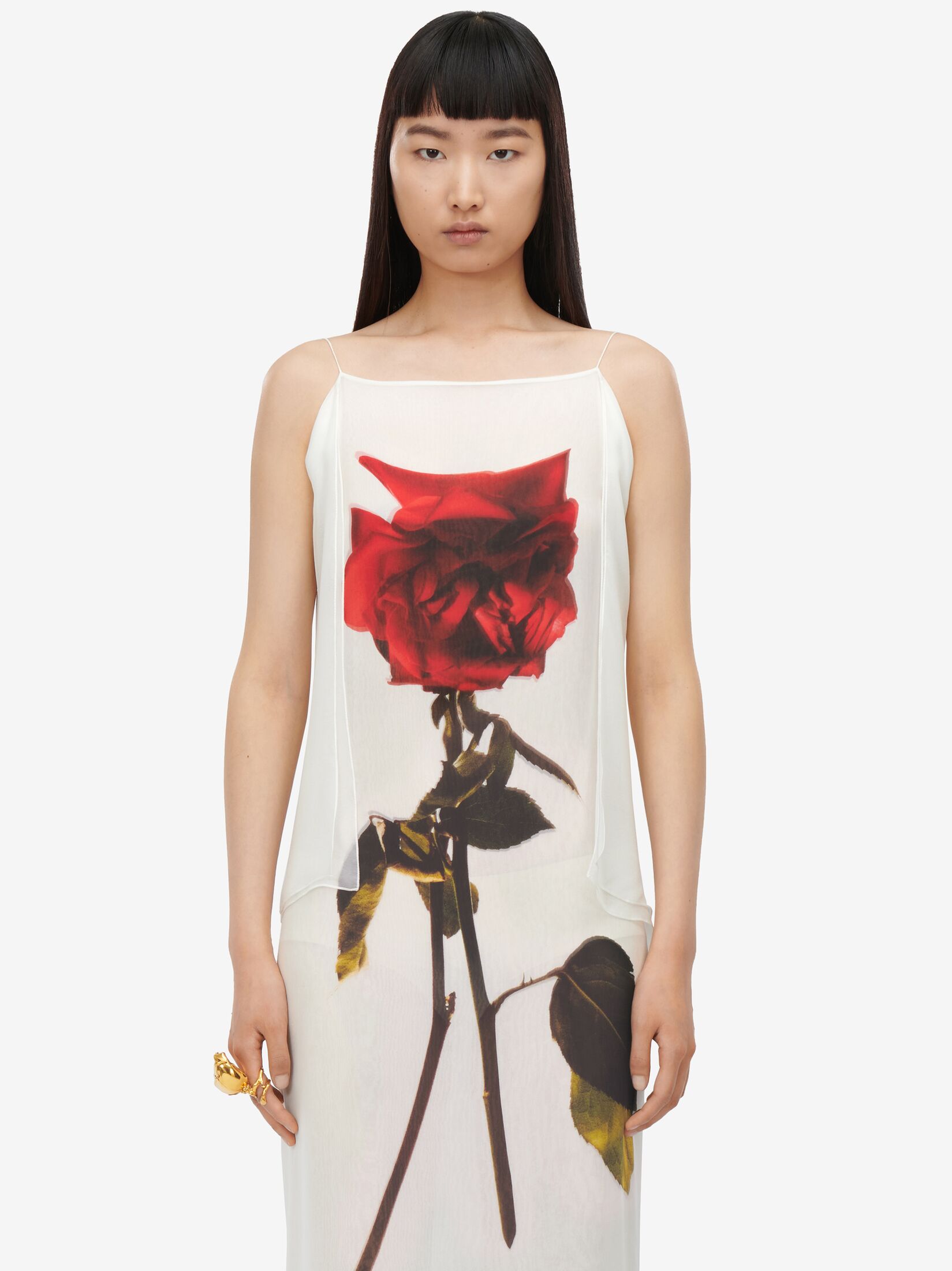 Chiffon Shadow Rose Slip Dress