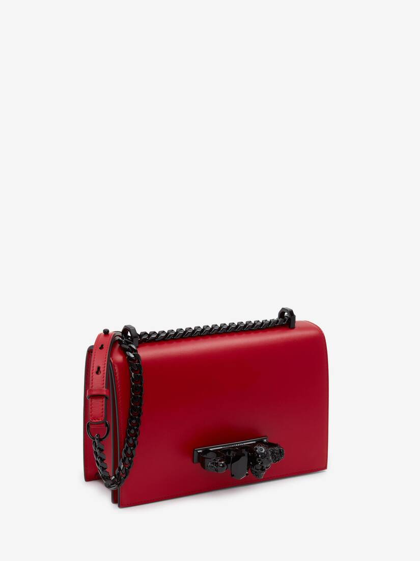 The Slash Small Leather Shoulder Bag in Red  Alexander Mc Queen  Mytheresa